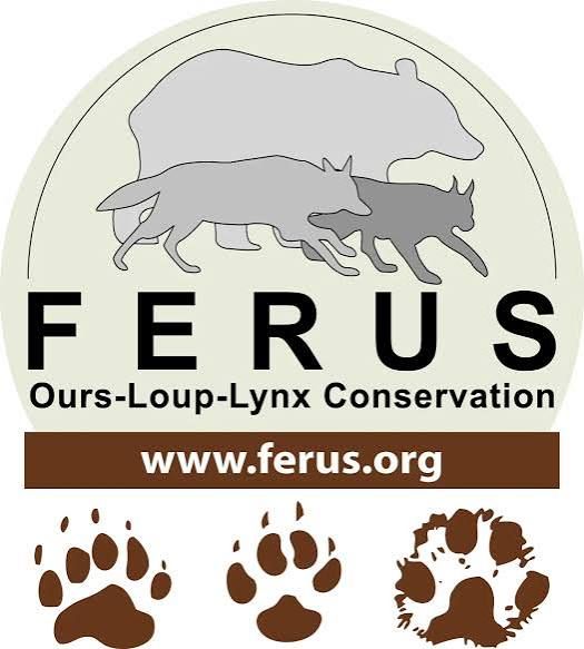 Ferus