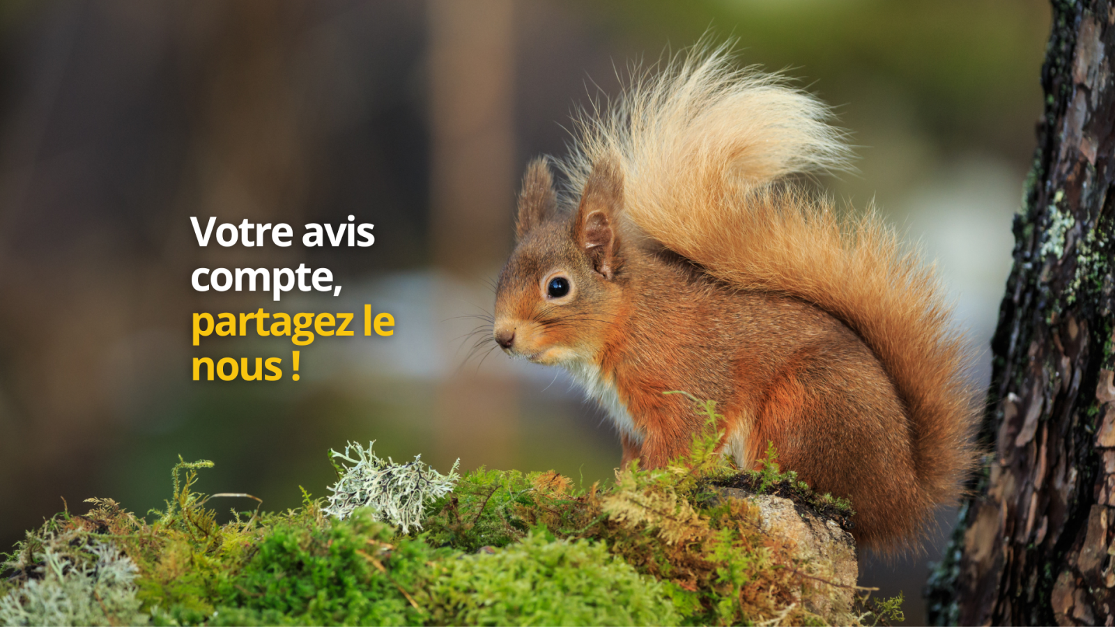 Animations du jardin 