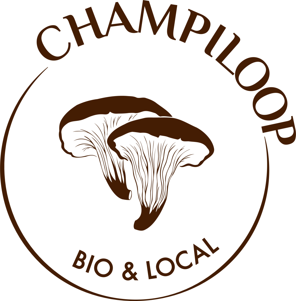 Champiloop