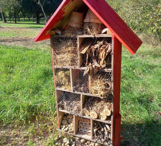 Présentation du jardin NDO